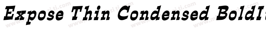 Expose Thin Condensed BoldItalic字体转换